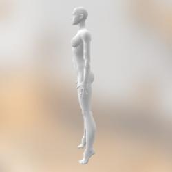 Naked Female Boobs 3d Models STLFinder