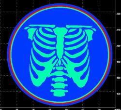 Skeleton Rib Cage Template Printable D Models Stlfinder