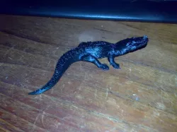 Alligator