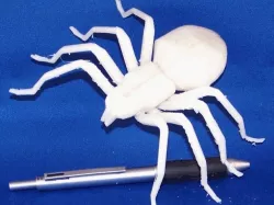 Big Spider