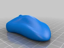 Computer Mouse