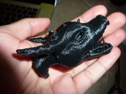 Dragon Head