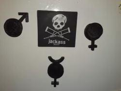 Gender Thing
