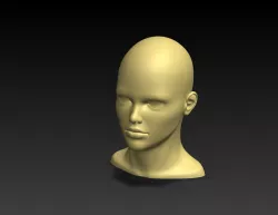 Head