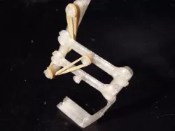 OLAF