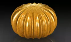 Organic Shape