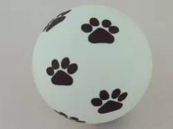 Panther Paw Prints