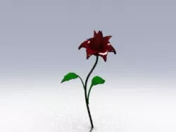Red Rose