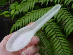 Rice Spoon
