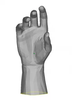 Right (adult) hand STL