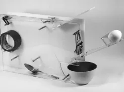 Rube Goldberg Machine