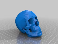 Skull