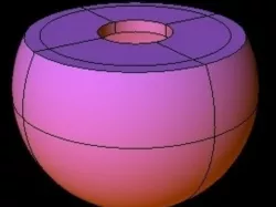 Spider Egg