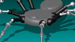 Spider Model 