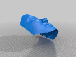 Star Simpson's Face as a Shell!