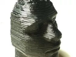 Taylor Face Scan/Print!