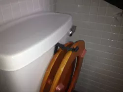 Toilet Seat keeper-upper