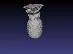 Yummy Pineapple