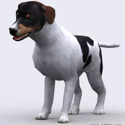 3DRT - Dog Low-poly  3D model
