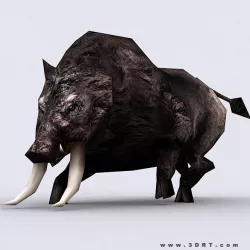 3DRT - Fantasy AAnimal Boar Low-poly  3D model