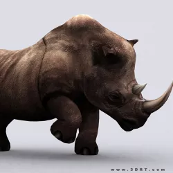 3DRT - Fantasy Animal Rhino Low-poly  3D model