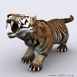 3DRT - Fantasy Animal TIger Low-poly  3D model