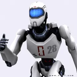 3DRT - iRobots  Low-poly  3D model