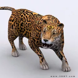 3DRT - Jaguar Low-poly  3D model