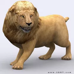 3DRT - Lion Low-poly  3D model