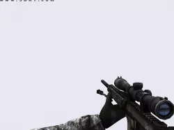 3DRT - Modern Firearms Animated - MK-12 Low-poly  3D model