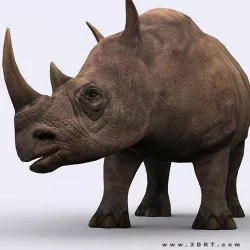 3DRT - Rhinoceros Low-poly  3D model
