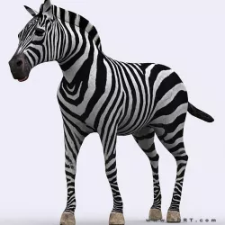 3DRT - Zebra Low-poly  3D model