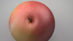 Apple 3D model
