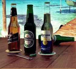 Beer Bottles Low-poly  3D model