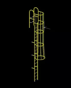Cage Ladder