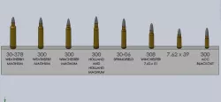 Comparison of 308(7,62) calibers