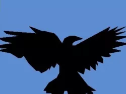 Crow in Openscad