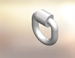 D-Ring