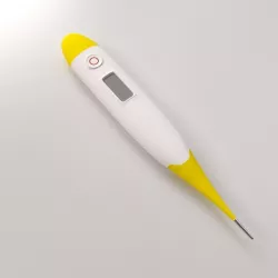 Digital Thermometer 3D model