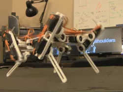 DogBot