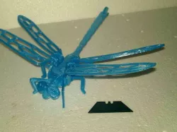 Dragon Fly puzzle