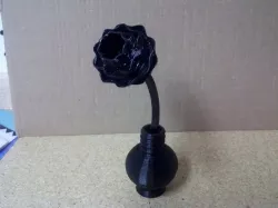 Flower in Vase