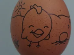 Free Range Eggtivism