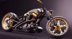 GoldSter - Custom bike project