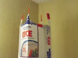 Hanging upside down planter