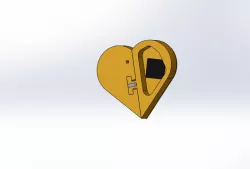 "Illusionist" locket