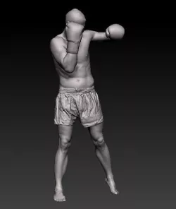 Male Boxer 3D model