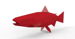 Mega Salmon 3D Model  Low-poly  3D model