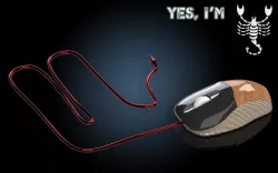 Mouse sample design