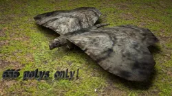 Night Butterfly Animated Low-poly  3D model